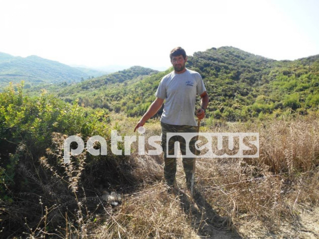 Ανάστατοι οι κάτοικοι του δήμου Ήλιδας από τις φόλες