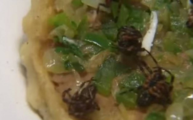 Γευστική απόλαυση - Τάκος... με αράχνες και σκορπιούς