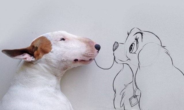 Το μπουλ τεριέ που κάνει εικονογραφήσεις