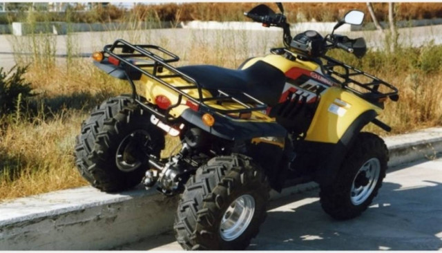 Κως: Θανατηφόρο τροχαίο με γουρούνα