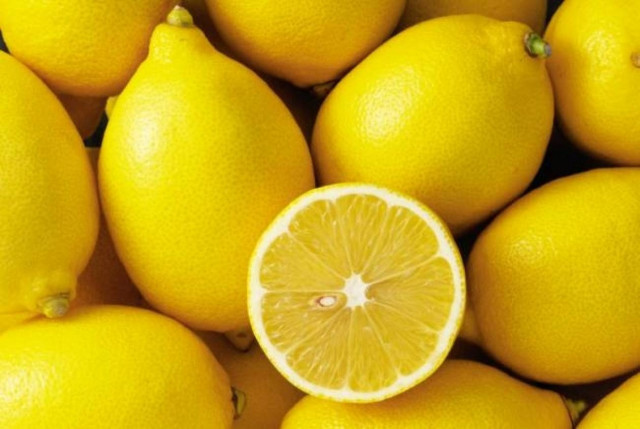Young Albanian arrested for allegedly stealing 10 tonnes of lemons since June