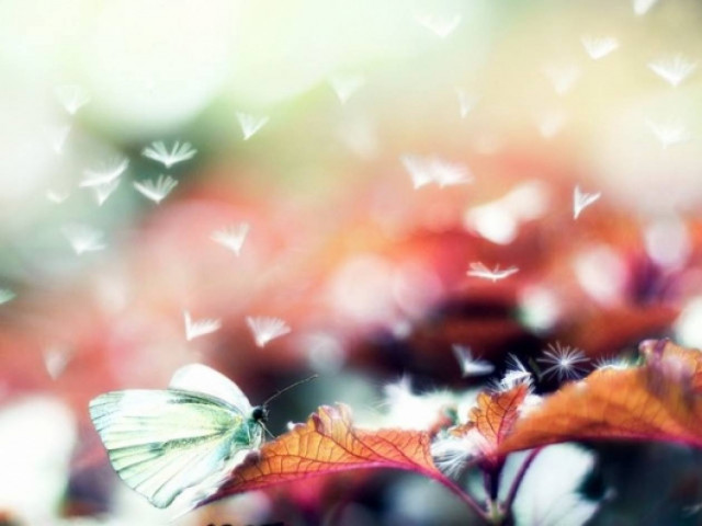 Δώσε σημασία στους ψιθύρους του Σύμπαντος