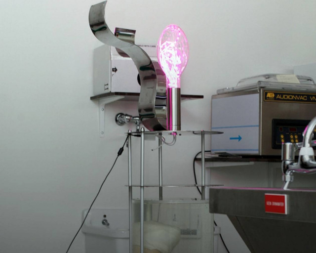 Πουλάει το... ακρωτηριασμένο του πόδι! (Προσοχή: σκληρές εικόνες)