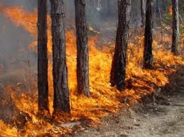 Wildfire burns grassland near Iraklio on Crete