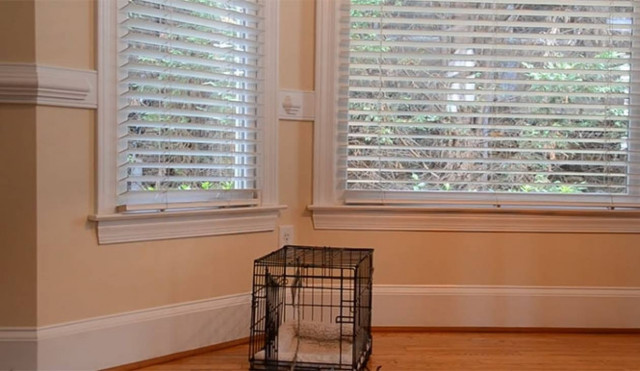 Tοποθέτησε κάμερα για να δει πώς κατάφερνε να αποδράσει το κουτάβι της (vid)