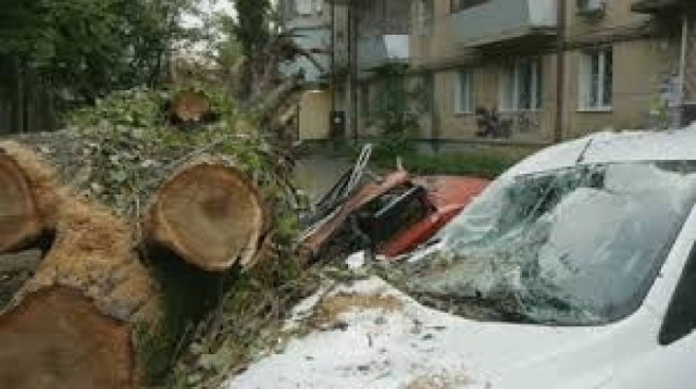 Δείτε γιατί δεν βγαίνουμε έξω όταν φυσάει πολύ (βίντεο)