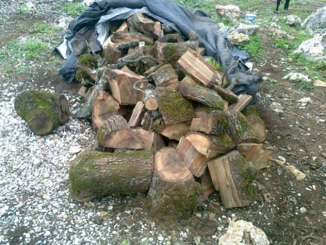 Αγρίνιο: Oμολόγησε ο «εγκέφαλος» της λαθροϋλοτομίας στον Βάλτο