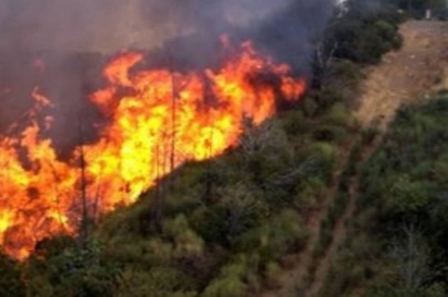 Πυρκαγιά κοντά στο νεκροταφείο Μαραθώνα