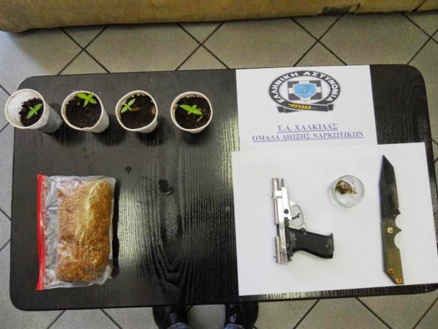 Εύβοια: Σύλληψη 56χρονου για καλλιέργεια χασίς