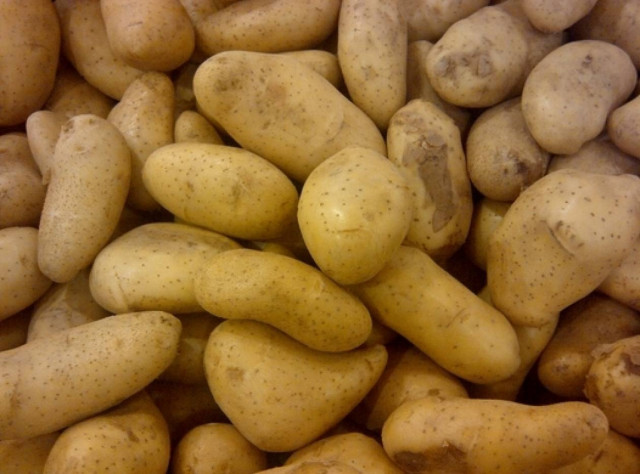 Δείτε τι έκανε για να μη μείνει... έγκυος!