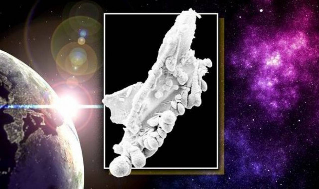 Αυτή είναι η απόδειξη για την ύπαρξη εξωγήινης ζωής! (vid+pics)