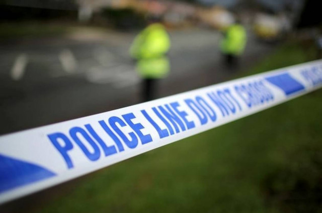 Σκύλος σκότωσε μωρό έξι μηνών! (pics)