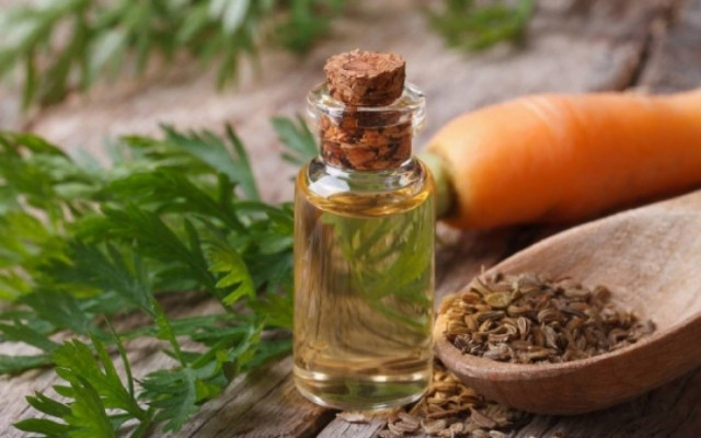 Το έλαιο που κάνει θαύματα στην εμφάνιση των μαλλιών σας