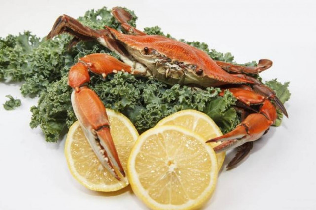 Καβούρια καθυστέρησαν για ώρες αεροπορική πτήση!