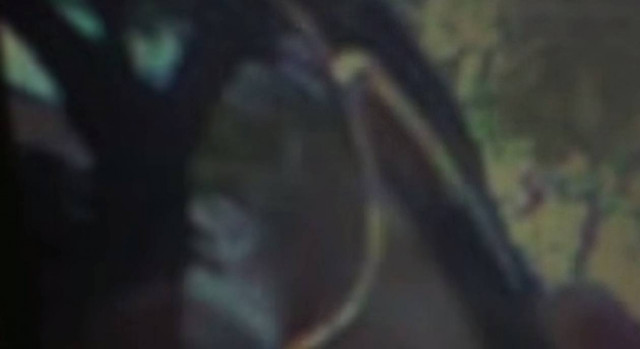 Έβγαζε selfie και απαθανάτισε έναν εξωγήινο! (pic+vid)