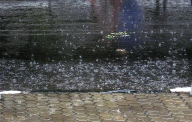 Κρήτη: Προβλήματα από την ισχυρή νεροποντή στα Χανιά