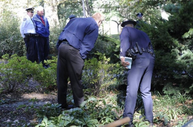 Νέα Υόρκη: Αρκούδα πέρασε τη γέφυρα και βρέθηκε νεκρή στο Σέντραλ Παρκ