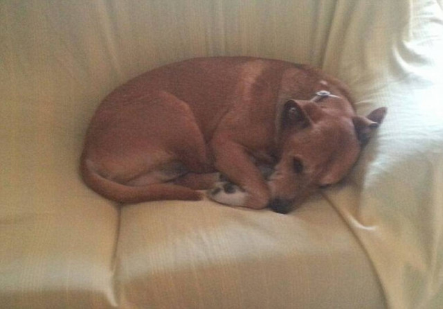 Έμπολα: Στη δημοσιότητα η φωτογραφία της Ισπανίδας νοσοκόμας (pics)