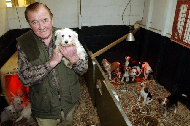 Το τελευταίο της τηλεφώνημα: «Με κυνηγάει να με σκοτώσει»