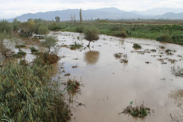 Σέρρες: Οικολογική καταστροφή στο κανάλι Μπέλιτσα