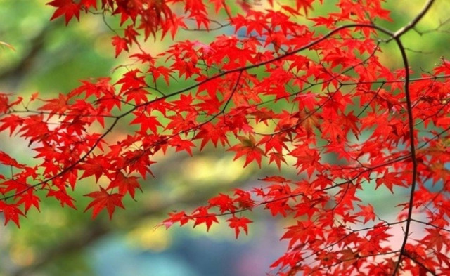 Καιρός: «Ανοιξιάτικο» το σκηνικό