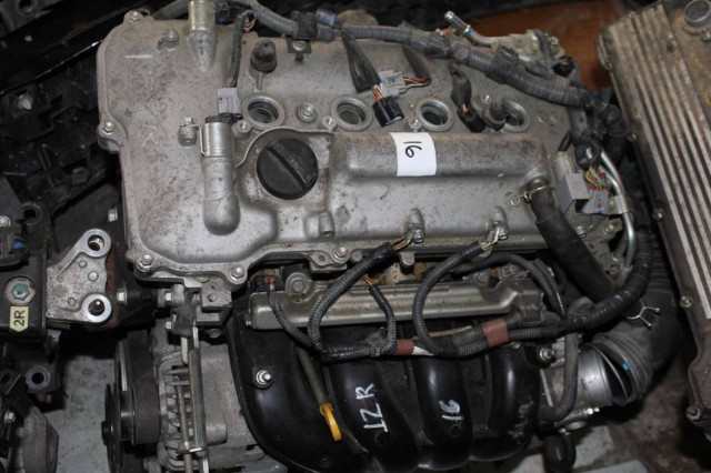 Εύβοια: Δεν φαντάζεστε τι είδε όταν άνοιξε το καπό – «Σαρώνουν» οι εικόνες