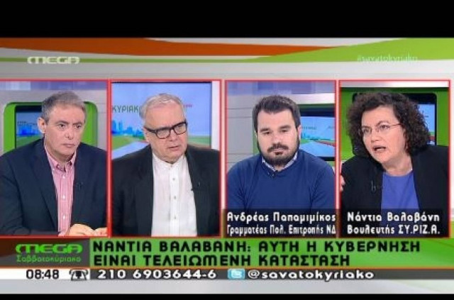 Παπαμιμίκος: Δεν μπορούμε να παίζουμε με τους θεσμούς (vid)