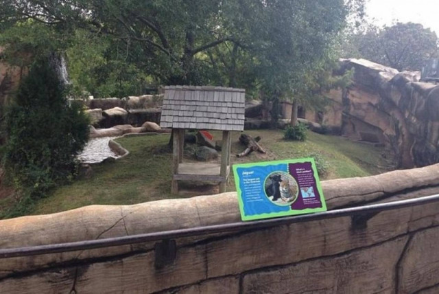 ΗΠΑ: 3χρονος κατασπαράχτηκε από ιαγουάρους σε ζωολογικό κήπο! (vid+pics)