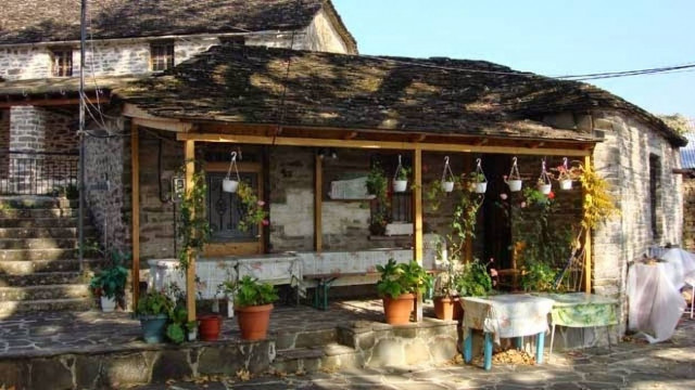 Ζαγοροχώρια: Αρκούδα εισέβαλε σε καφενείο