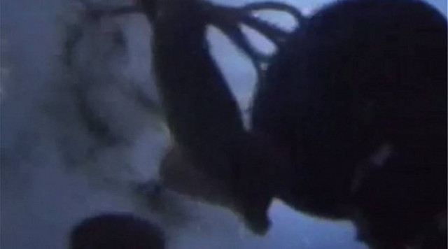 Υποβρύχιο δέχθηκε επίθεση από γιγάντιο καλαμάρι! (vid+pics)