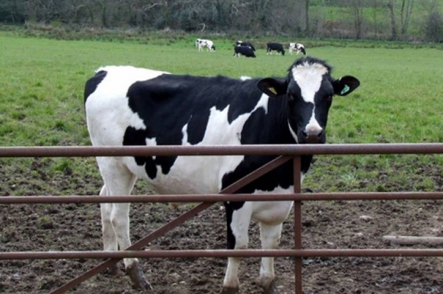 Ξεκληρίστηκε οικογένεια από αναθυμιάσεις μεθανίου