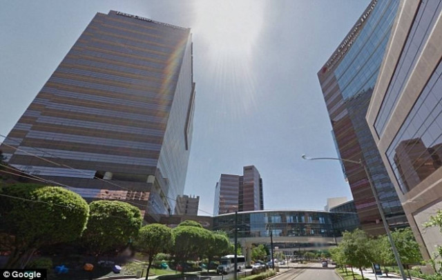 Σιαμαία δίδυμα μοιράζονται ίδιο συκώτι, έντερα και καρδιά (pics)