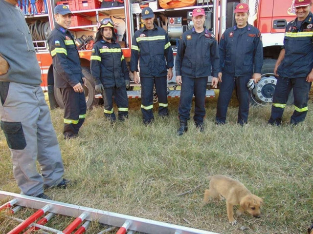 Κομοτηνή: Κουταβάκι έπεσε σε πηγάδι 7 μέτρων-Δείτε την επιχείρηση διάσωσης
