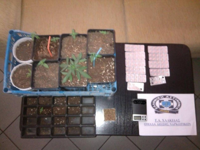 Εύβοια: Eντοπίσθηκε εργαστήριο καλλιέργειας υδροπονικής κάνναβης (pics)