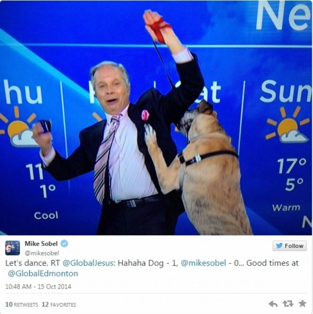 Παρουσιαστής έλεγε τον καιρό μαζί με το σκύλο του και να τι... έπαθε (βίντεο)