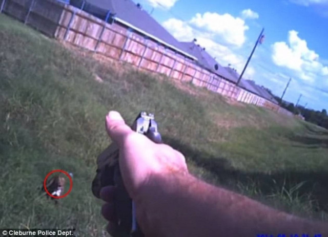 ΗΠΑ: Αστυνομικός φώναξε κοντά του σκύλο για να τον πυροβολήσει! (vid)