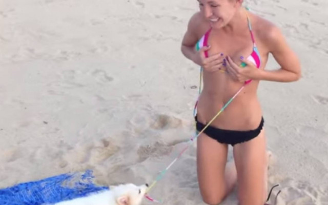 Ο σκύλος ήταν... πονηρός και της έβγαλε το μαγιό!