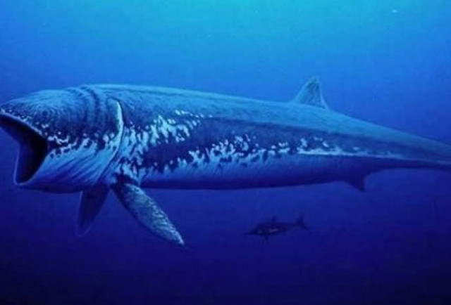 Τα 10 μεγαλύτερα πλάσματα όλων των εποχών (Video)