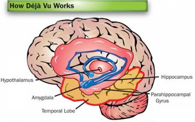 Tι είναι πραγματικά το  déjà vu;
