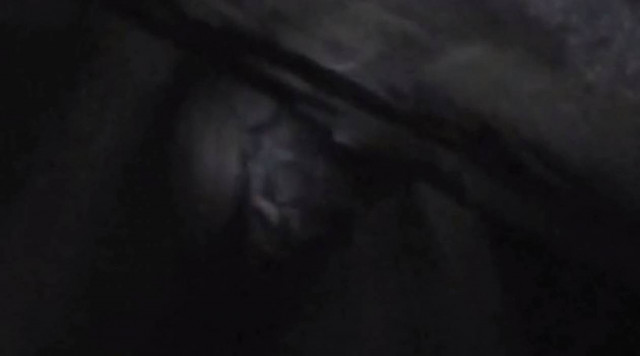 Βίντεο: Περίεργο ανθρωποειδές μέσα σε σπήλαιο της Αυστραλίας;