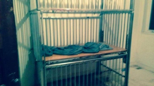 ΗΠΑ: Κρατούσαν αλυσοδεμένο 19χρονο αυτιστικό