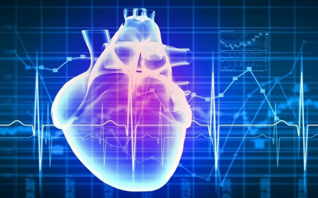 Επιστήμονες δημιουργούν τεχνητή καρδιά με 3-D βιοεκτύπωση