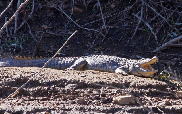 Γύρισε προφίλ ο Σήφης για να «γράφει» καλύτερα στην κάμερα
