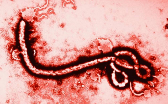 Έμπολα: Θέμα γονιδίων η θνησιμότητα από τον ιό