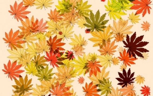 Οι τυχερές και όμορφες στιγμές της ημέρας: Σάββατο 1η Νοεμβρίου