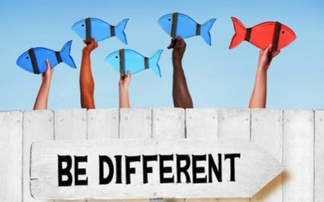 What's in the Stars today, November 1?