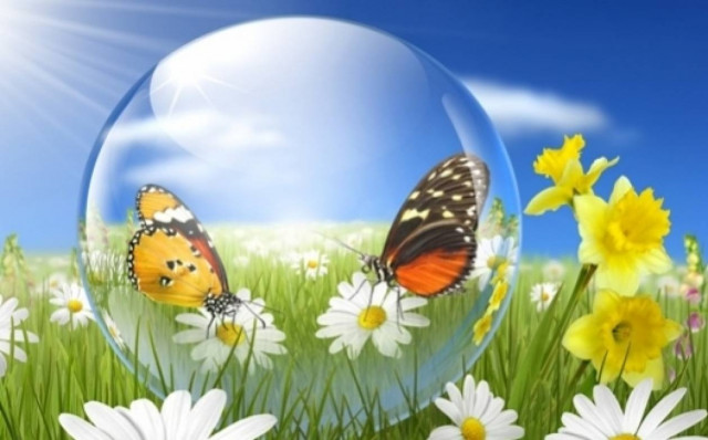 Οι τυχερές και όμορφες στιγμές της ημέρας: Δευτέρα 3 Νοεμβρίου