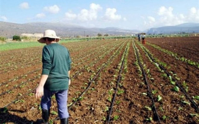 Συνάντηση Παραγωγών με τον Αντιπεριφερειάρχη Πέλλας Θεόδωρο Θεοδωρίδη
