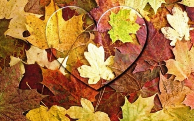 What's in the Stars today, November 4?