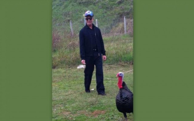 Κυνηγώντας τις γαλοπούλες...